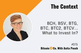 This is a complicated topic, particularly since there are so many wallets available. Bch Bsv Btg Btc Btc2 Btcv What To Invest In Anita Posch