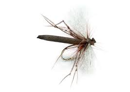 Check spelling or type a new query. Aero Daddy Schnake Schneider Daddy Long Leg Trockenfliege Flyfishingeurope Shop De