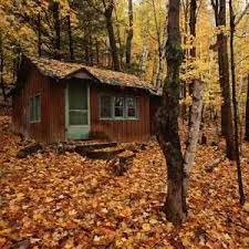 I Would Love To Spend A Romantic Night With My Fiance In A Place Like This Small House Tiny House House In The Woods