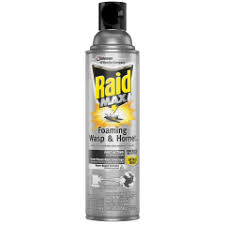 Choose the top rated wasp and hornet spray among those listed here to make your life easier. Raid Wasp Hornet Killer Spray Cvs Pharmacy