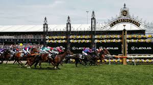 Since a united states customary cup holds exactly 8 u.s. Melbourne Cup Set To Go Ahead Without Crowds Ministry Of Sport