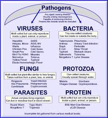 Different types of pathogens include bacteria, fungi, and worms. The Spread Of Pathogens Model 2 Answer Key Model 2 Six Modes Of Disease Transmission Answer Key The Spread Of Pathogens