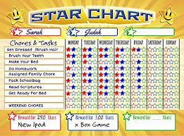 Bigtime Magnetic Behavior Star Reward Chore Chart For