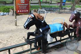 Maybe you would like to learn more about one of these? 30 04 2018 Zoo Safari Park Stukenbrock Tagesberichte Freizeitparkcheck