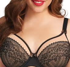 Mais il permet toutefois de dessiner une très jolie poitrine. Les Soutiens Gorge De Grande Taille Sont Confortables Et Seduisants