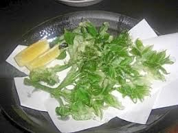 すべての美しい花の画像 トップ100 う どの 葉