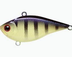 Ciri paling khusus dari ikan ikan lemon merupakan ikan hias yang memiliki warna kuning mengkilap seperti buah lemon. Warna Umpan Yang Disukai Ikan Laut Cara Golden