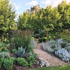 Brenton Roberts On Instagram The Aim With This Part Of The Garden Is To Have The Clipped T Garden Landscape Design Country Garden Design Gardening Design Diy