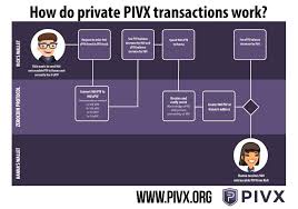 3 reasons why bitcoin price has crashed today. Pivx Crashed How Much Is A Has In Bitcoin K K Incorporadora