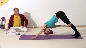 Dylan werner started teaching yoga in 2011 after 10 years of advanced movement training. Hund Adhomukhashvanasana Wirkung Videos Und Anleitung Zu Yoga Asanas