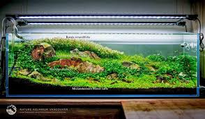 Maybe you would like to learn more about one of these? Scapetical Ideas Inspiration Aquascape Japanese Facebook