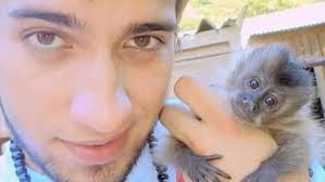 Responsabilizan a la Policía por lo que le pase al mono Martín que no  quiere comer