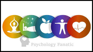 Wellness Basics: Returning to the Foundations of Healthy Living -  Psychology Fanatic