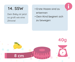 Diese sollte eine rückenlehne besitzen, um das kind bei einem seitencrash ausreichend zu schützen. 14 Ssw Schwangerschaftswoche