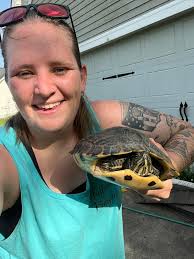 Finding a big beautiful turtle in the driveway