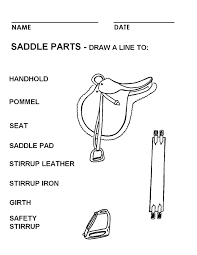 Booklet Pg 12 Parts Of An English Saddle The Rest Of This Workbook Can Be Found At Http Horseback Riding Lessons Horse Lessons Therapeutic Horseback Riding