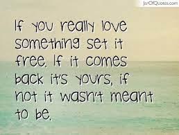 If you love something, set it free. The Most Confusing Quote If You Love Something Set It Free Tessa C Ryan