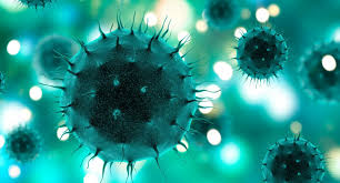 Nov 10, 2020 tinjau pada jun 13, 2019 waktu baca: Covid 19 Ciri Ciri Virus Penyebab Dan Penyebaran Wecare Id