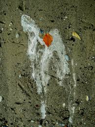 Leaflooker Bodchiz 022c Blattschauer Excrement Shit Veil Shroud Haze Durt Vogel Scheisse Kacke Dreck Kot Schiss Art Foto I Scheisse Dreck