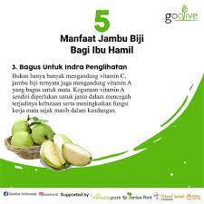 Khasiat jambu batu dikatakan dapat mengatasi pelbagai masalah kesihatan dan memberi manfaat kepada ibu hamil. 5 Manfaat Jambu Biji Bagi Ibu Hamil Goolive Indonesia Facebook