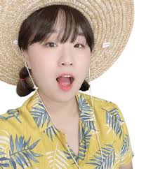 Han Song -hee (Comedian)