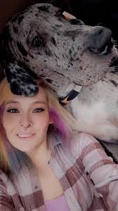 PTPA For release 2 years old Great Dane male 37 inches Sandor line Proven  stud Can produce 13 pups