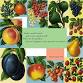 VOCABULARY: BLENDING TEXT AND IMAGE – WORKS ON..... event in Malone, NY