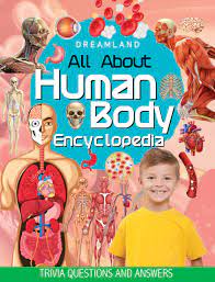 It is made up of 24 bones known as vertebrae, according to spine universe. Buy Human Body Encyclopedia For Children Age 5 15 Years All About Trivia Questions And Answers Book Online At Low Prices In India Human Body Encyclopedia For Children Age 5