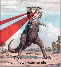 Funny Memes Pics 35 Randomly Odd Crazy Stuff Team Jimmy Joe Art Cat Art Pop Art