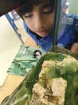 Oscar Cottrell's Instagram, Twitter & Facebook