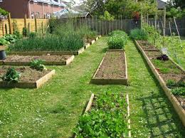 Butterflies are an exception to that rule. Vegetable Gardening For Beginners How To Plan Your First Patch