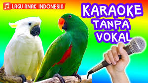 Burung kakak tua caller ringtone (maxis): Burung Kakak Tua Lagu Anak Versi Karaoke Tanpa Vokal Kakatua Youtube