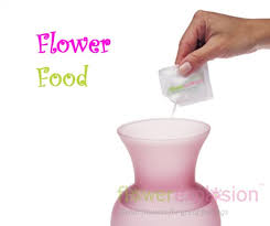 How to make your cut flowers last longer using common ingredients found around the house. Flower Food Packages