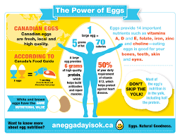 Egg Nutrition Egg Calories Nutritional Content Of Eggs