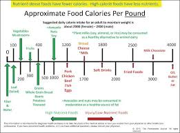 27 circumstantial calorie density chart