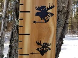 Moose Mama And Dad Arrows Height Marking Arrows Growth
