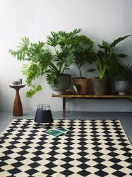 1 10 Rugs And What Not To Love House Plants Interior Plants Indoor Plants