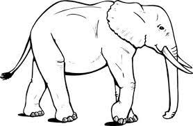 If you want elephant picture for coloring yourself then. 31 Elephant Coloring Pages Ideas Elephant Coloring Page Coloring Pages Elephant