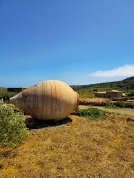 Image result for Gutenbergia kassneri