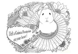 More mandala coloring pages here! Pin On Cavia Beeldjes