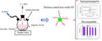 High Impact Of In Situ Dextran Coating On Biocompatibility Stability And Magnetic Properties Of Iron Oxide Nanoparticles Sciencedirect