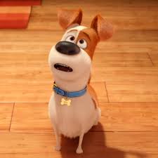 The film was directed by lawrence guterman with screenplay by john requa and glenn ficarra, and stars jeff goldblum, elizabeth perkins and alexander pollock. Max The Secret Life Of Pets Wiki Fandom Secret Life Of Pets Pet Max Secret Life