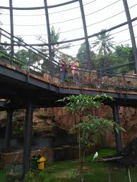 Kali ini saya akan berbagi informasi tentang salah satu tempat wisata menarik di jawa barat yaitu taman wisata kelapa dua nagrak waterboom yang beralamat di cibadak sukabumi. Sparks Forest Adventure 69 8 1 Prices Specialty Hotel Reviews Cisarua Indonesia Tripadvisor