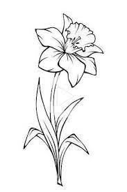 Pin De Manne Cr En Inspire En 2020 Dibujos De Flores Tatuajes De Narcisos Dibujos