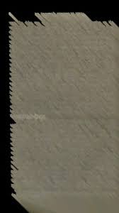 Image result for Wahlenbergia ericoidella