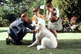 Fox, sally field, ralph waite. Photo Du Film L Incroyable Voyage A San Francisco Photo 2 Sur 3 Allocine