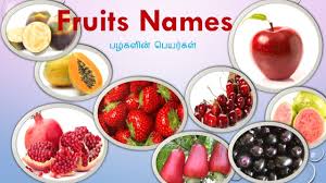 77 Tree Names With Pictures In Tamil And English Youtube