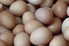 Sabtu, 12 juni 2021 18:44. Kementan Harga Telur Ayam Akan Turun Hingga Pertengahan Februari Antara News