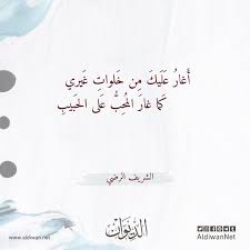 الديوان موسوعة الشعر العربي الشريف الرضي Arabic Calligraphy Calligraphy
