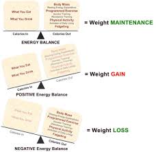 Image result for Energy Deficit Calculation